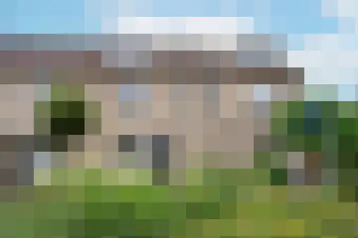Blaasbalg 41 Nieuwkoop thumbnail 29