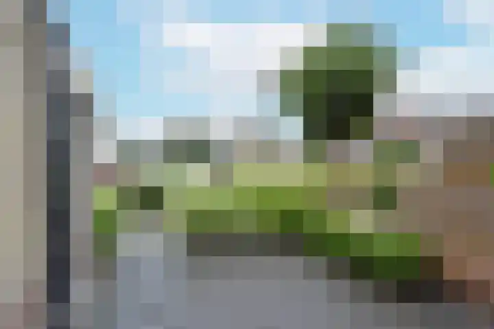 Blaasbalg 41 Nieuwkoop thumbnail 30