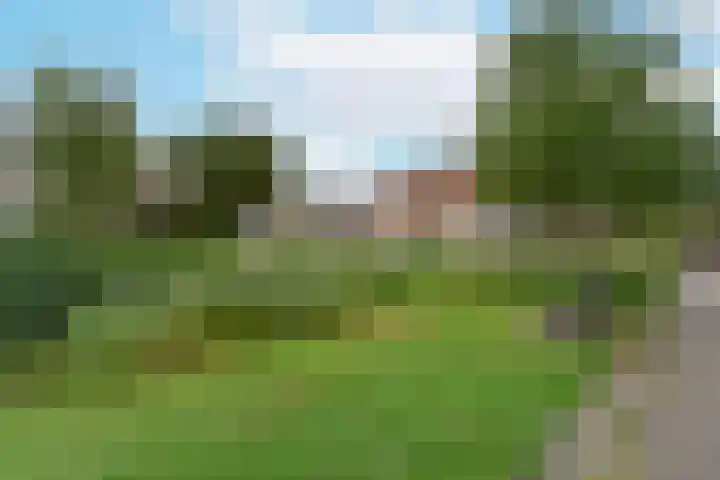 Blaasbalg 41 Nieuwkoop thumbnail 31