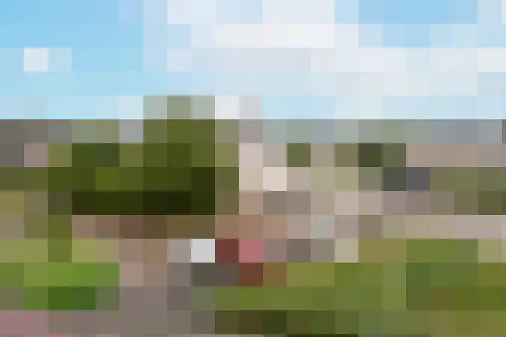 Blaasbalg 41 Nieuwkoop thumbnail 32