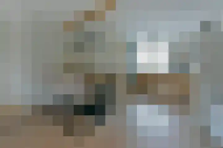 Blaasbalg 41 Nieuwkoop thumbnail 4