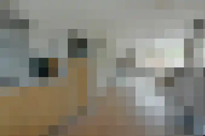 Blaasbalg 41 Nieuwkoop thumbnail 5