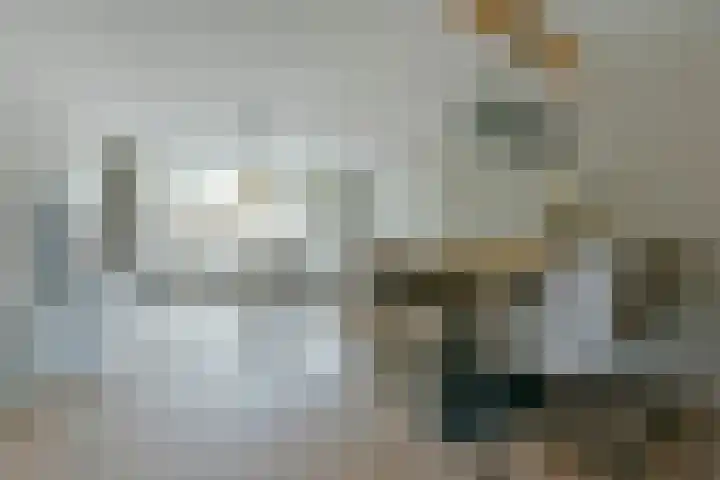 Blaasbalg 41 Nieuwkoop thumbnail 6