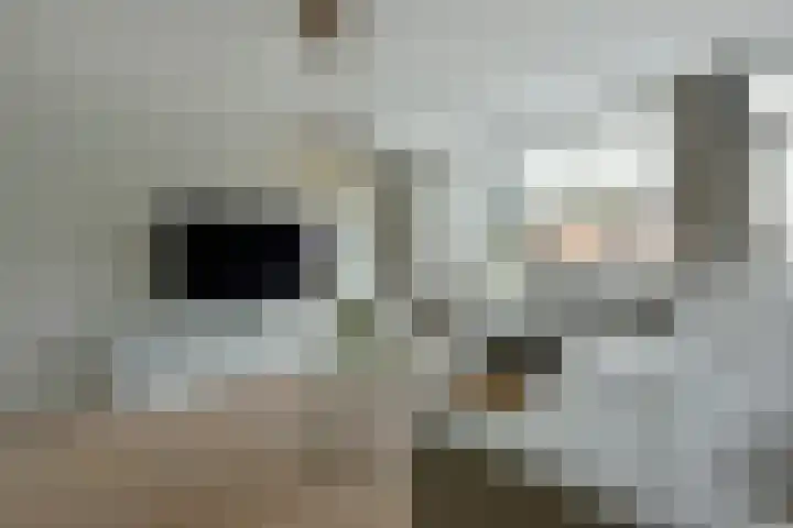 Blaasbalg 41 Nieuwkoop thumbnail 7