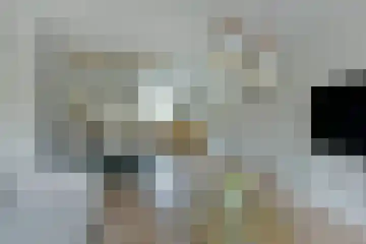 Blaasbalg 41 Nieuwkoop thumbnail 8