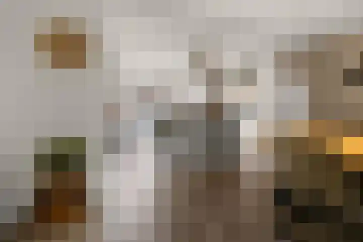 Blaasbalg 42 Nieuwkoop thumbnail 10