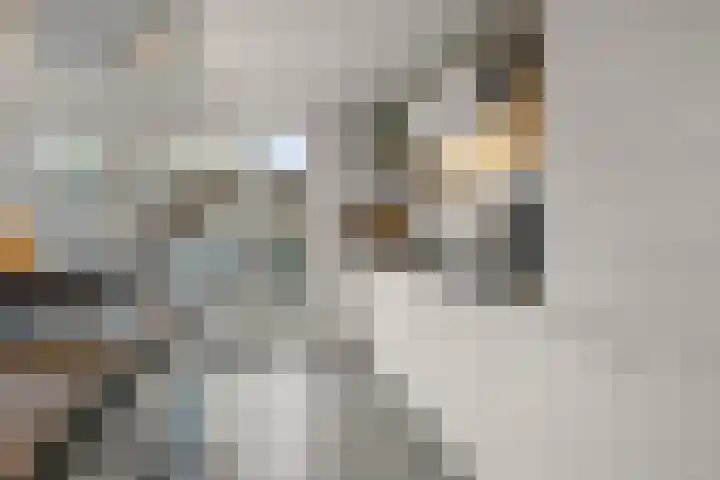Blaasbalg 42 Nieuwkoop thumbnail 12