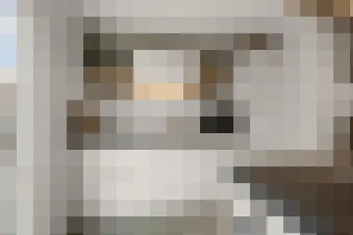 Blaasbalg 42 Nieuwkoop thumbnail 13