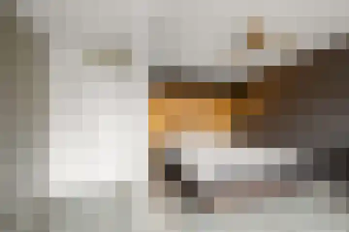 Blaasbalg 42 Nieuwkoop thumbnail 17