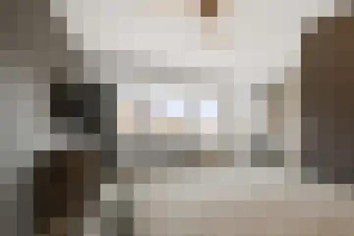 Blaasbalg 42 Nieuwkoop thumbnail 19