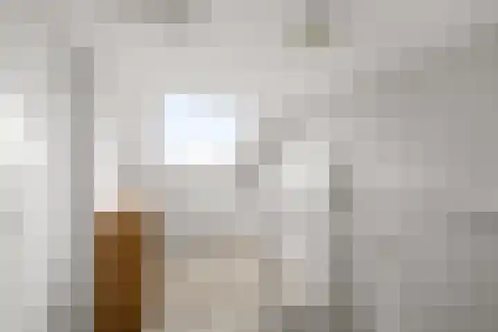 Blaasbalg 42 Nieuwkoop thumbnail 31