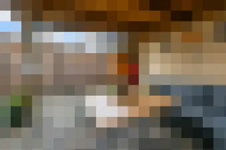 Blaasbalg 42 Nieuwkoop thumbnail 32