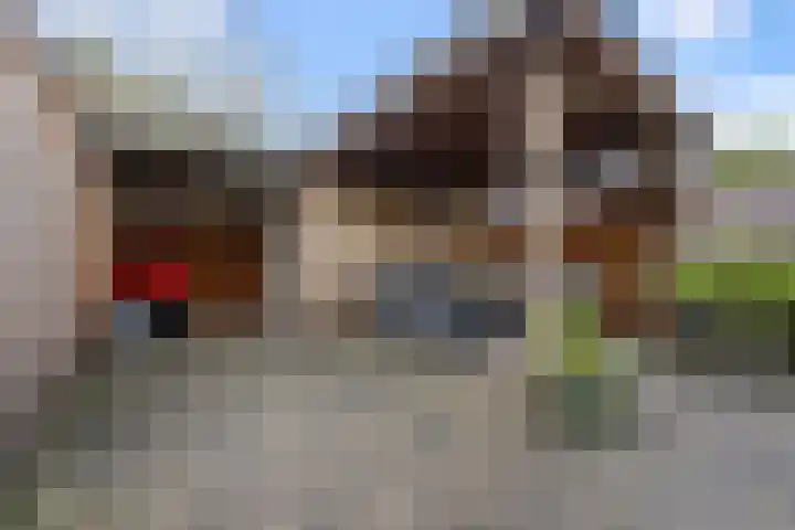 Blaasbalg 42 Nieuwkoop thumbnail 33