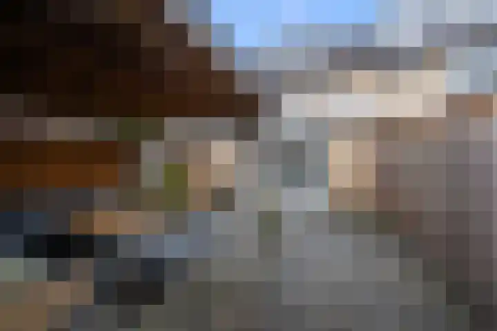 Blaasbalg 42 Nieuwkoop thumbnail 34
