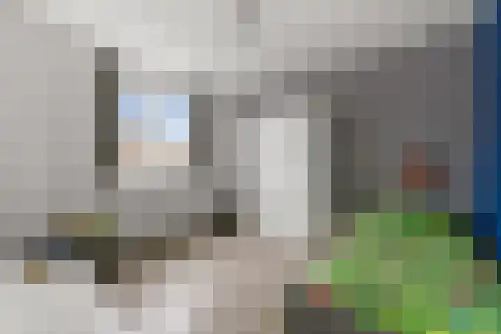 Blaasbalg 42 Nieuwkoop thumbnail 36