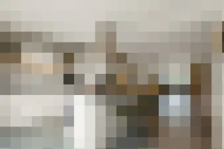 Blaasbalg 42 Nieuwkoop thumbnail 4