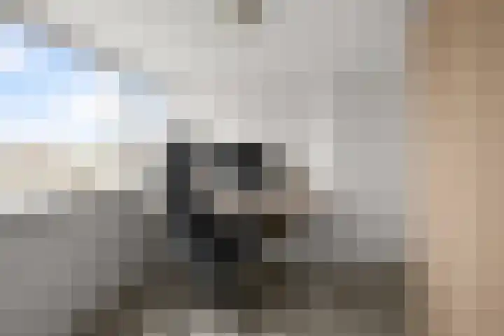Blaasbalg 42 Nieuwkoop thumbnail 43