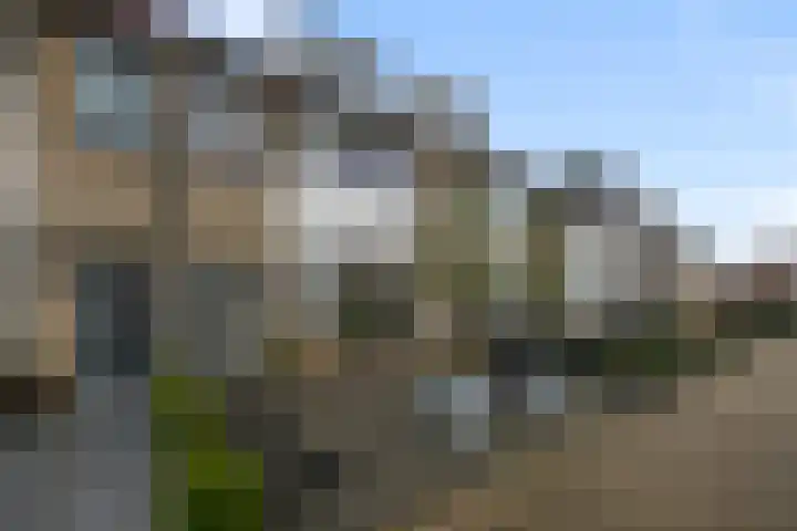 Blaasbalg 42 Nieuwkoop thumbnail 51