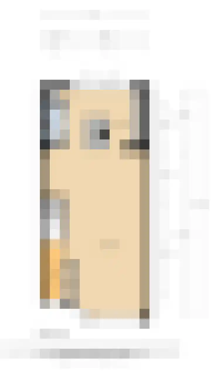 Blaasbalg 42 Nieuwkoop thumbnail 53