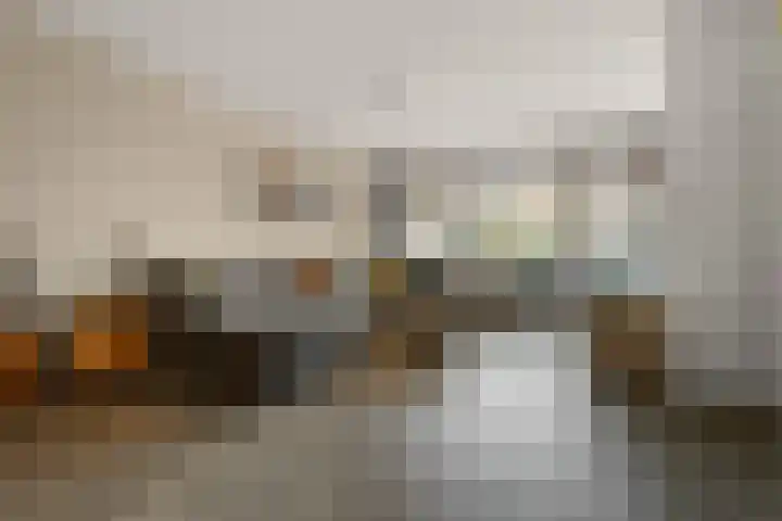 Blaasbalg 42 Nieuwkoop thumbnail 7
