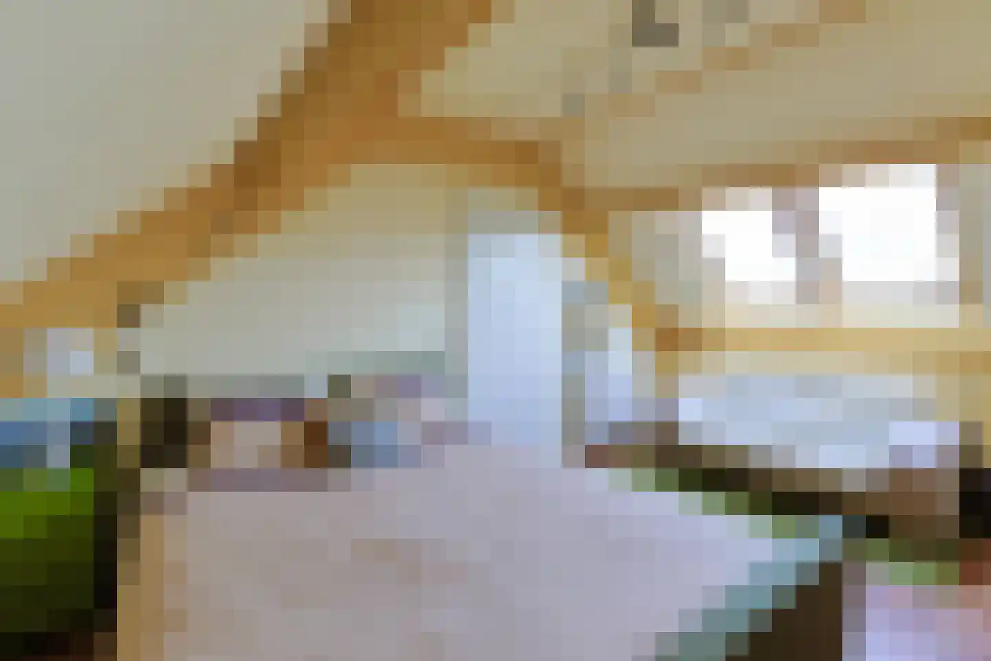Blaasbalg 6 Nieuwkoop thumbnail 34