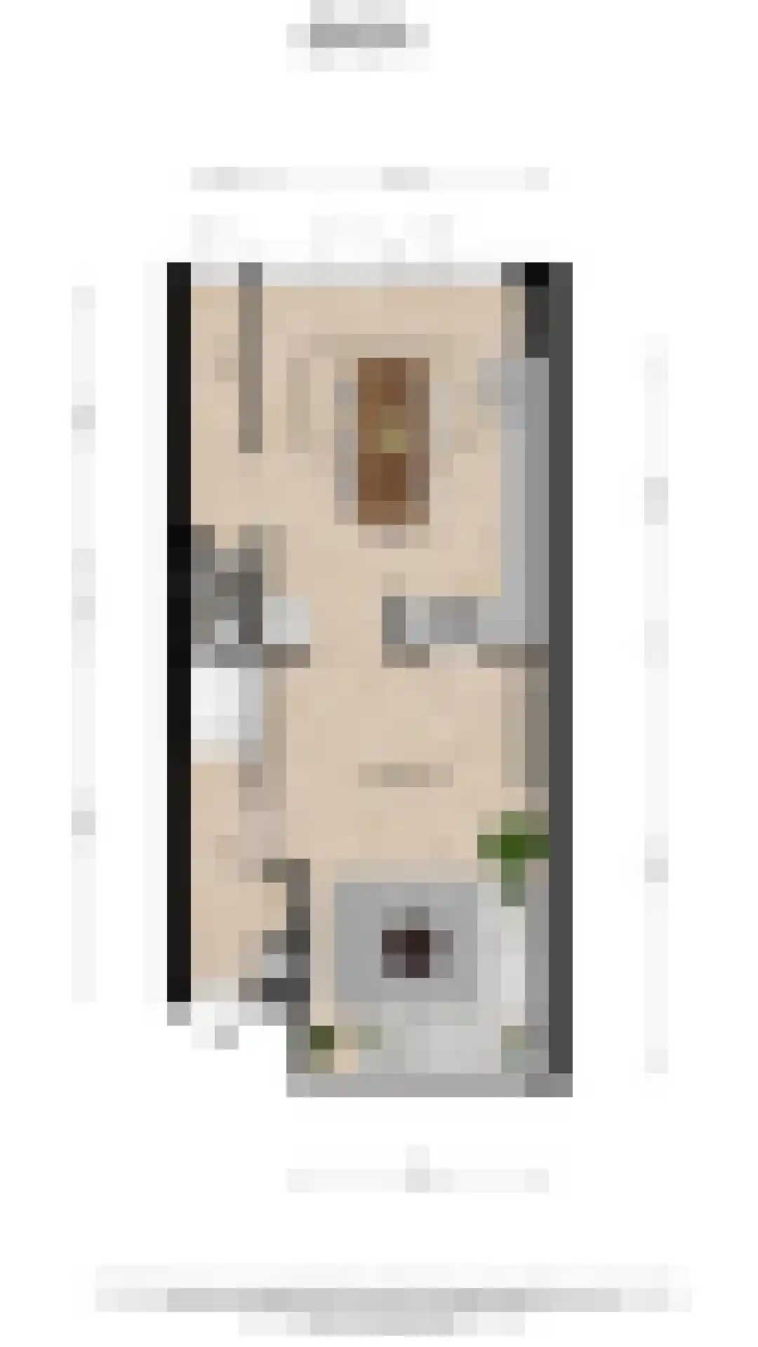 Blaasbalg 6 Nieuwkoop thumbnail 39