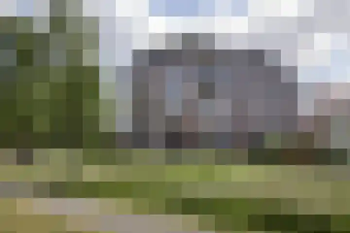 Blaasjeskruidstraat 9 in Arnhem