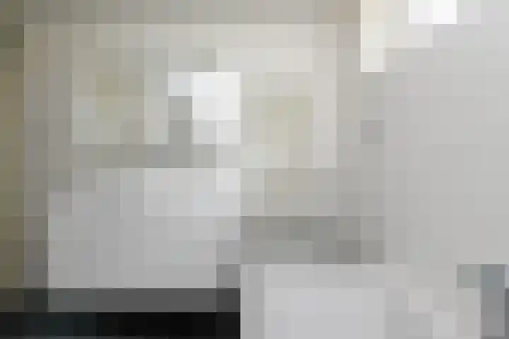 Blaasjeskruidstraat 9 Arnhem thumbnail 12