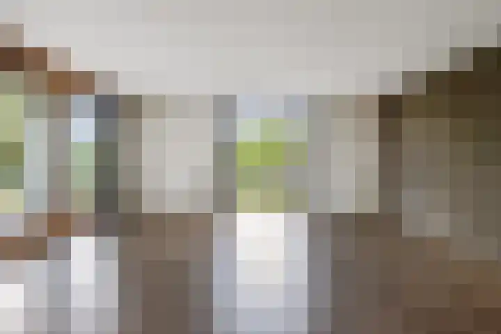 Blaasjeskruidstraat 9 Arnhem thumbnail 14