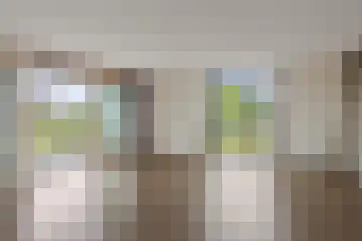 Blaasjeskruidstraat 9 Arnhem thumbnail 15