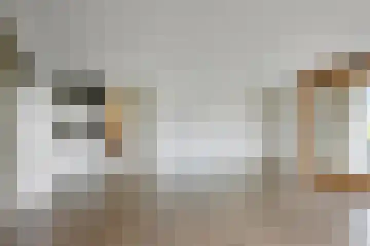 Blaasjeskruidstraat 9 Arnhem thumbnail 17