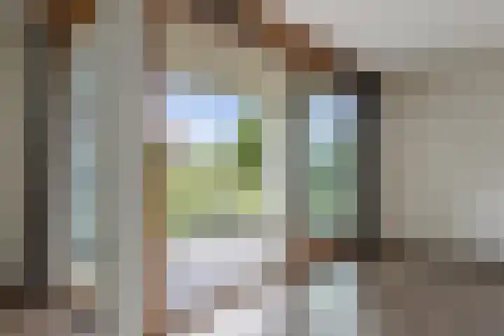 Blaasjeskruidstraat 9 Arnhem thumbnail 21
