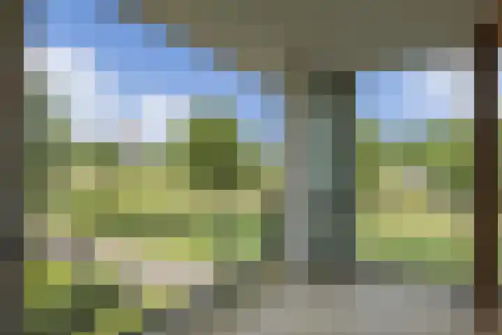 Blaasjeskruidstraat 9 Arnhem thumbnail 22