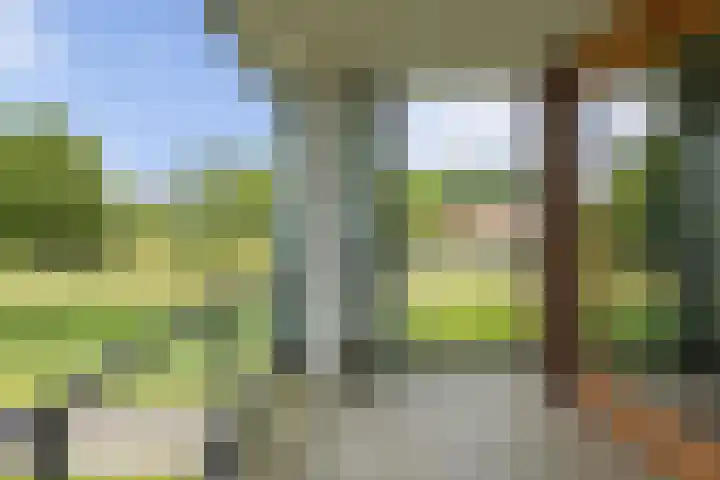 Blaasjeskruidstraat 9 Arnhem thumbnail 23