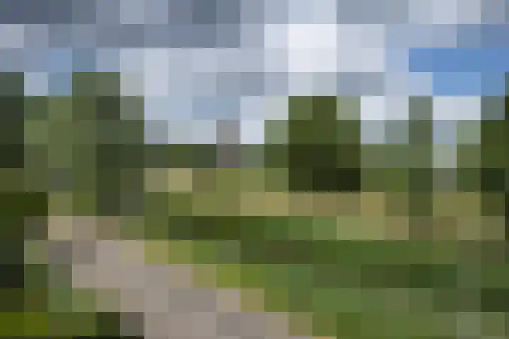 Blaasjeskruidstraat 9 Arnhem thumbnail 24