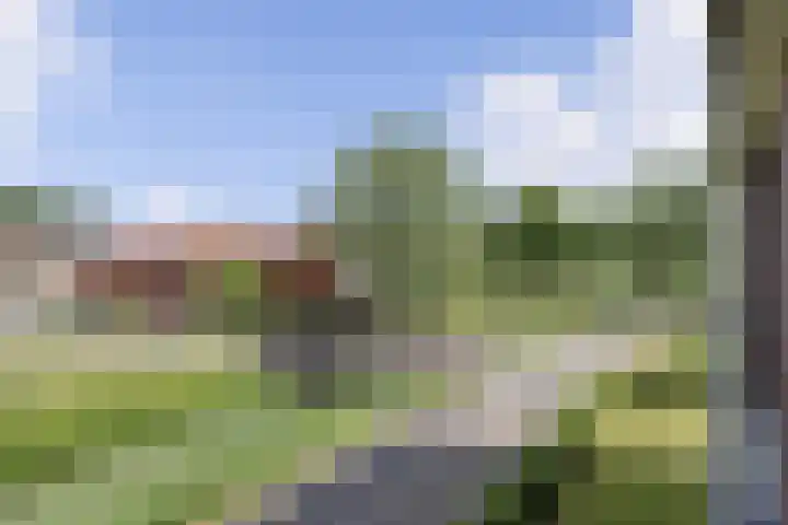 Blaasjeskruidstraat 9 Arnhem thumbnail 25
