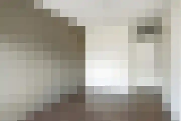 Blaasjeskruidstraat 9 Arnhem thumbnail 32