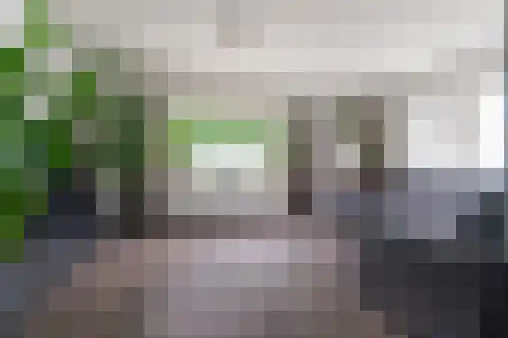 Blaasjeskruidstraat 9 Arnhem thumbnail 34