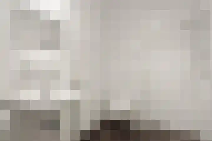 Blaasjeskruidstraat 9 Arnhem thumbnail 35