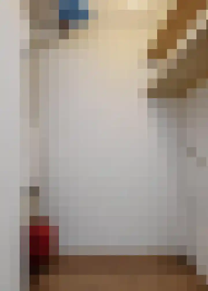 Blaasjeskruidstraat 9 Arnhem thumbnail 37