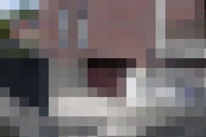 Blaasjeskruidstraat 9 Arnhem thumbnail 38