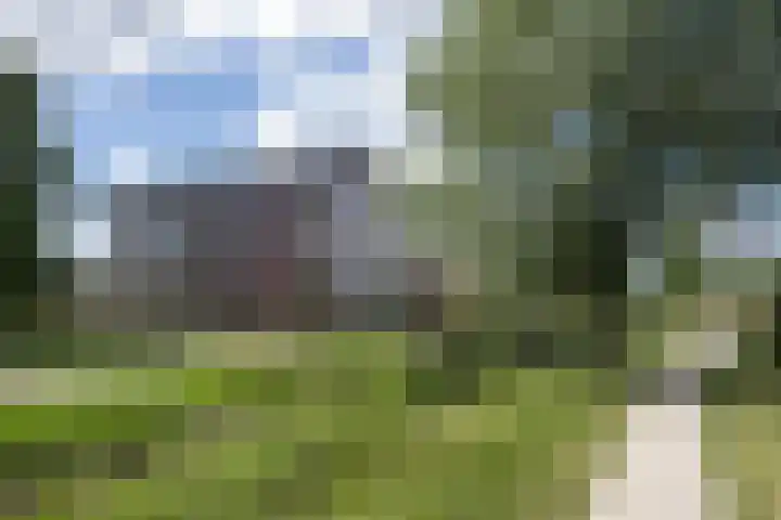 Blaasjeskruidstraat 9 Arnhem thumbnail 4