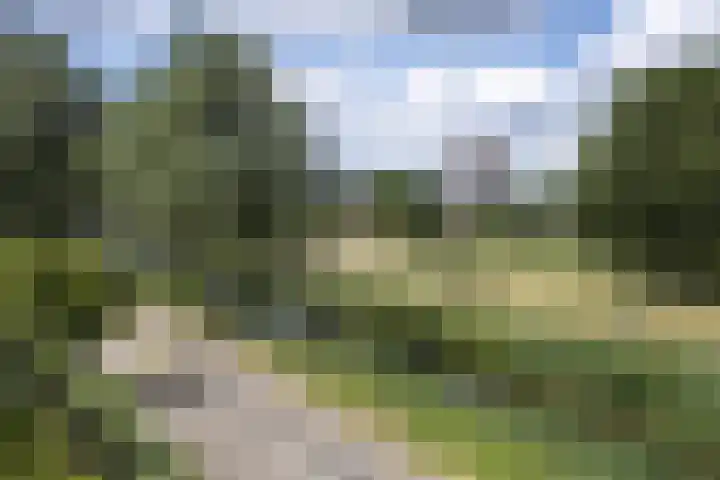 Blaasjeskruidstraat 9 Arnhem thumbnail 41