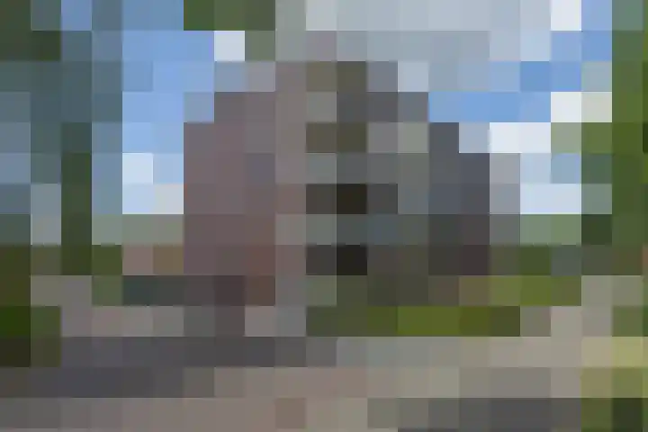 Blaasjeskruidstraat 9 Arnhem thumbnail 5