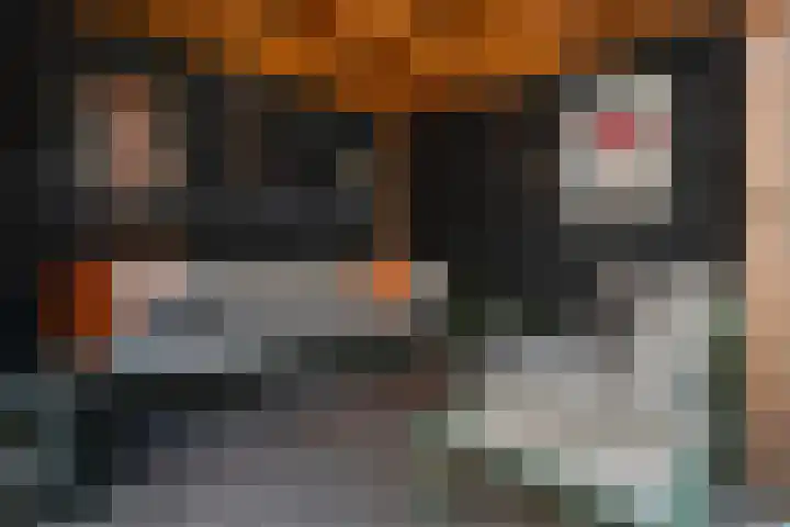 Blaaspijp 35 Leerdam thumbnail 33