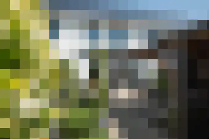 Blaaspijp 35 Leerdam thumbnail 35