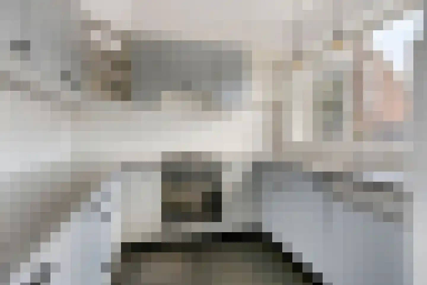 Blaaspoort 4 Kapelle thumbnail 17