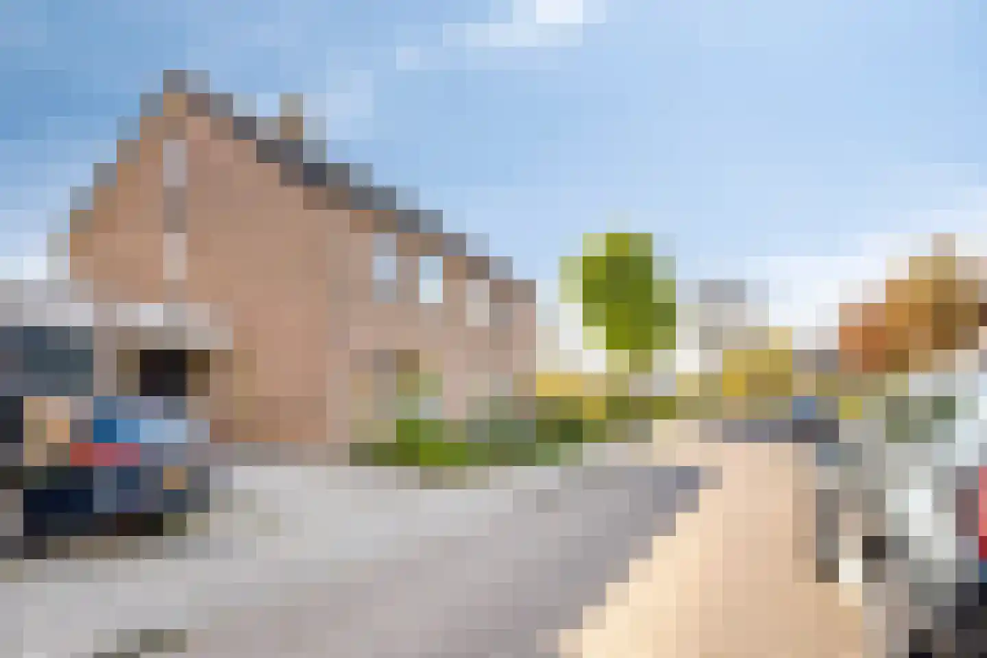 Blaaspoort 4 Kapelle thumbnail 44