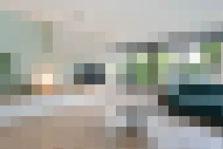 Blaaszegge 32 Zwolle thumbnail 12