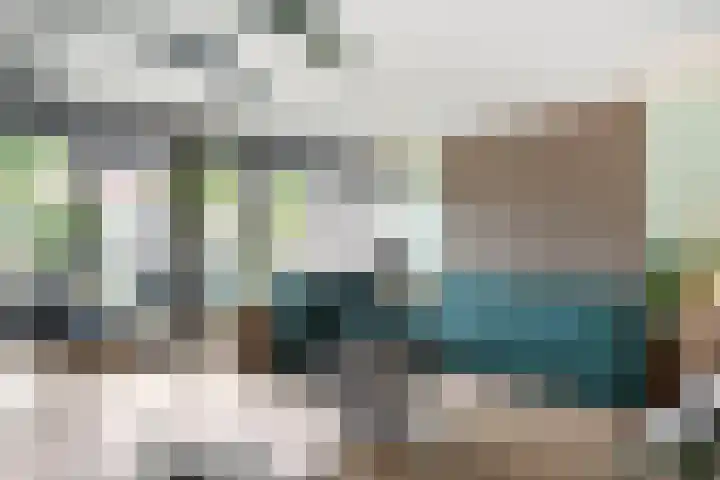 Blaaszegge 32 Zwolle thumbnail 13